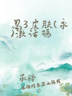 忍3皮肤(永久)激活码