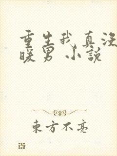 重生我真没想当暖男 小说