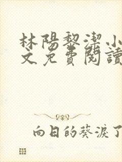 林阳黎洁小说全文免费阅读最新章节