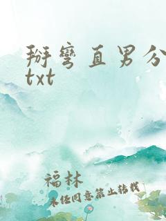 掰弯直男分几步txt