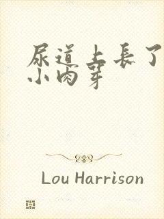 尿道上长了很多小肉芽