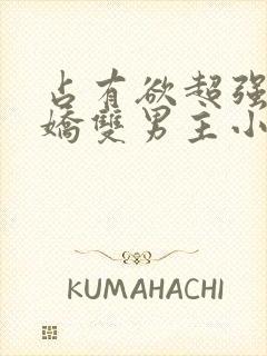 占有欲超强的病娇双男主小说攻受