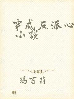 穿成反派心尖宠 小说