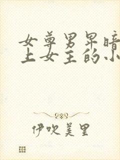 女尊男卑暗卫爱上女主的小说