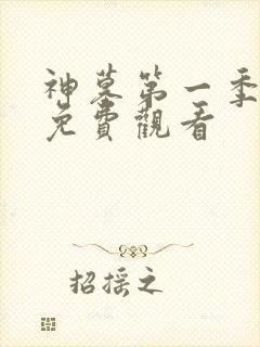 神墓第一季动漫免费观看