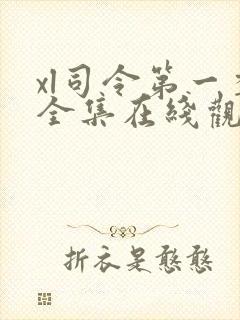 xl司令第一季全集在线观看完整版免费