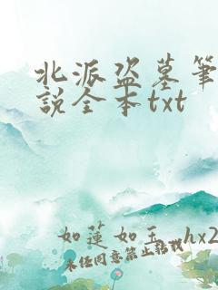 北派盗墓笔记小说全本txt