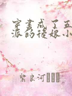 穿书成了五个反派的后娘小说