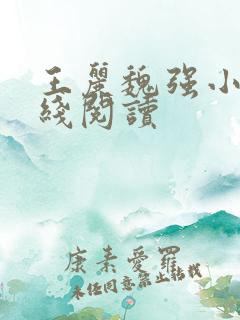 王丽魏强小说在线阅读