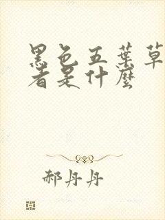 黑色五叶草转生者是什么