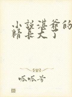 小说湛爷的小妖精长大了