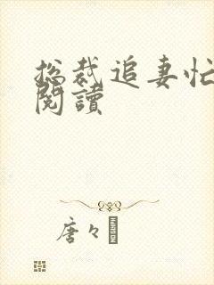 总裁追妻忙免费阅读