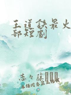 王道铁最火的十部短剧