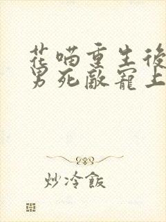 花喵重生后被渣男死敌宠上天完整版