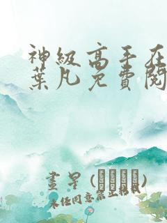 神级高手在都市叶凡免费阅读