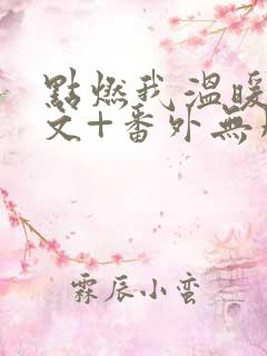 点燃我温暖你全文+番外无删减