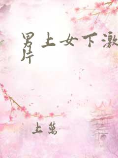 男上女下激情肉片