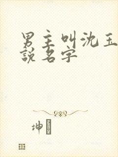 男主叫沈玉的小说名字