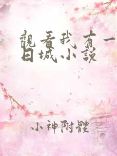 观看我有一座末日城小说