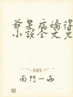 爷是病娇得宠着小说全文免费阅读