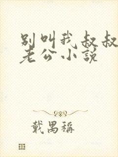 别叫我叔叔叫我老公小说