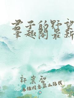 君子的野望小说笔趣阁最新章节