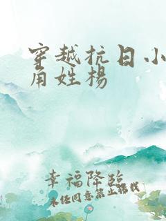 穿越抗日小说主角姓杨