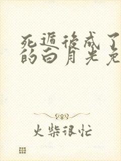 死遁后成了师尊的白月光免费阅读