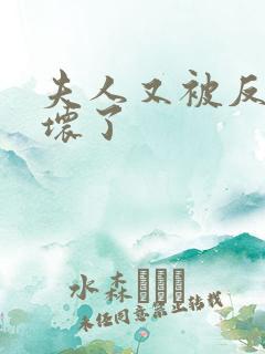 夫人又被反派惯坏了