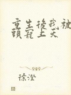 重生后我被死对头宠上天