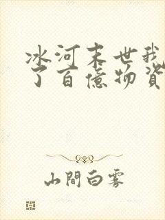 冰河末世我囤积了百亿物资小说