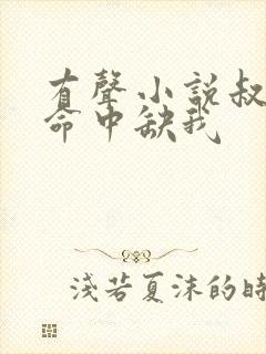 有声小说叔,你命中缺我