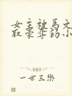 女主被马文才强取豪夺的小说