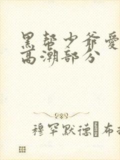 黑帮少爷爱上我高潮部分