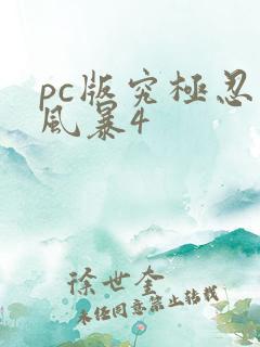 pc版究极忍者风暴4