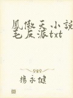 凤傲天小说里黄毛反派txt