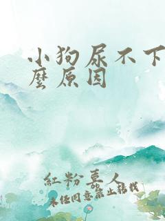 小狗尿不下来什么原因