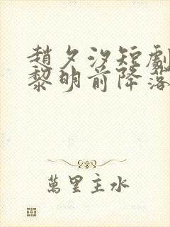 赵夕汐短剧爱在黎明前降落