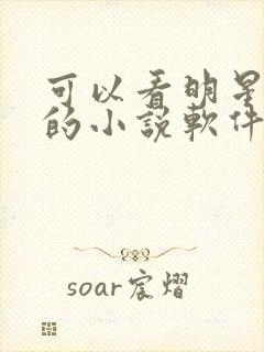 可以看明星小说的小说软件