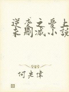 逆袭之爱上情敌未删减小说