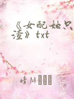 《女配她只想被渣》txt