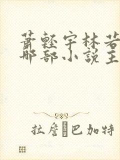 萧轻宇林若雪是哪部小说主角