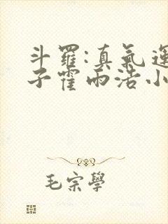 斗罗:真气运之子霍雨浩小说