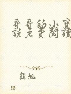 哥哥的小宝贝小说免费阅读