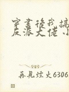 穿书后我搞到了反派大佬 小火子