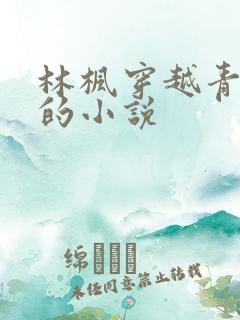 林枫穿越青云门的小说