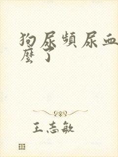 狗尿频尿血是怎么了