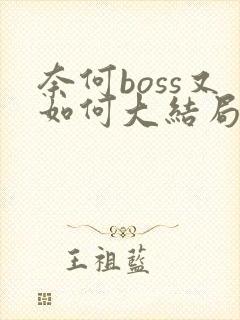 奈何boss又如何大结局