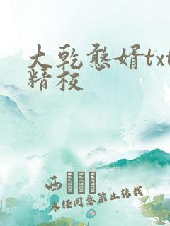 大乾憨婿txt精校