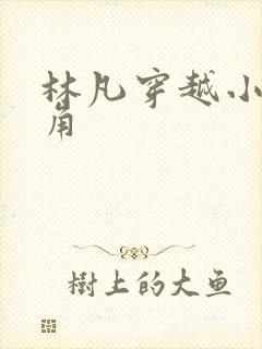 林凡穿越小说主角